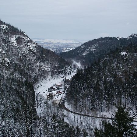 Ferienwohnung Wohlfühlzeit im Zittauer Gebirge Exterior foto